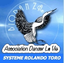 Logo Association Danser La Vie